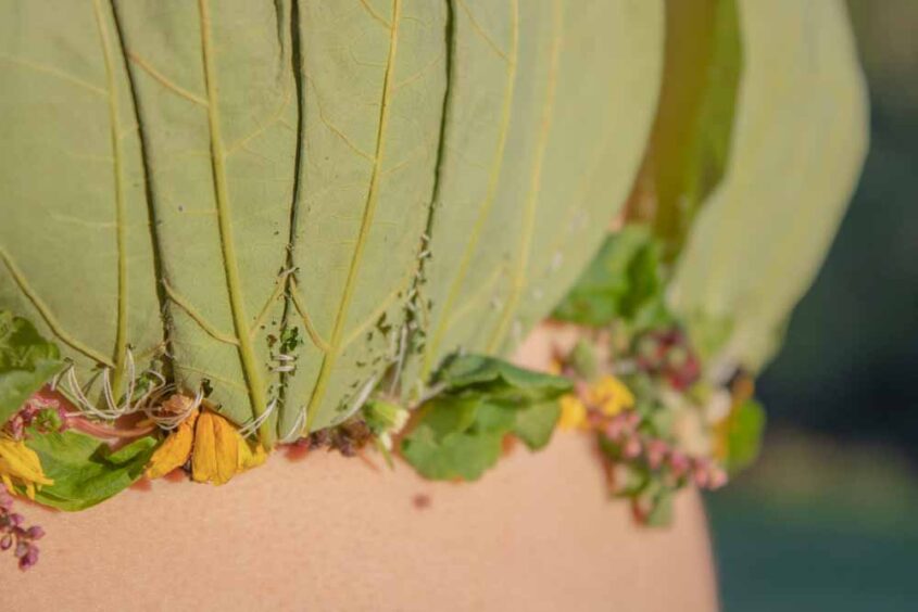 Jaelyn Blonder, Garment 2, foliage and thread